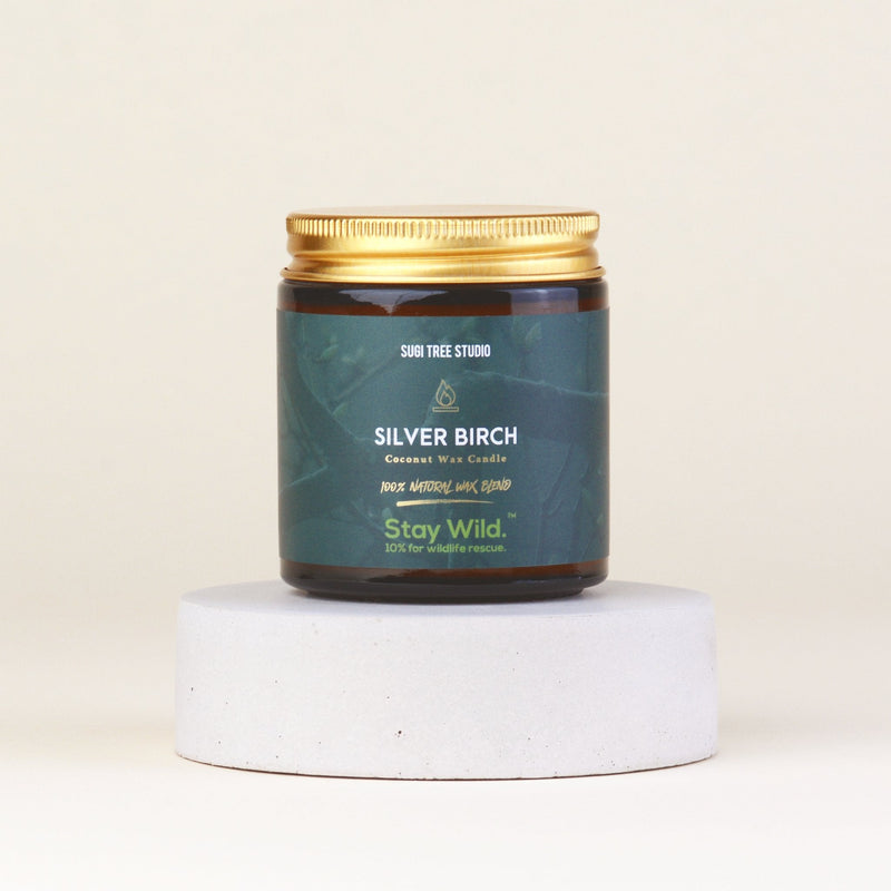 Silver Birch Coconut Wax Candle