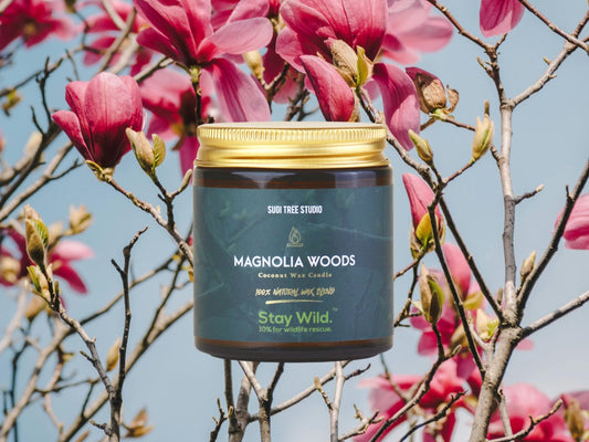 Blooms and Breezes: 25 Spring Scents to Welcome the Season