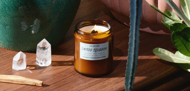 Wood Wick Candles - Sugi Tree Studio