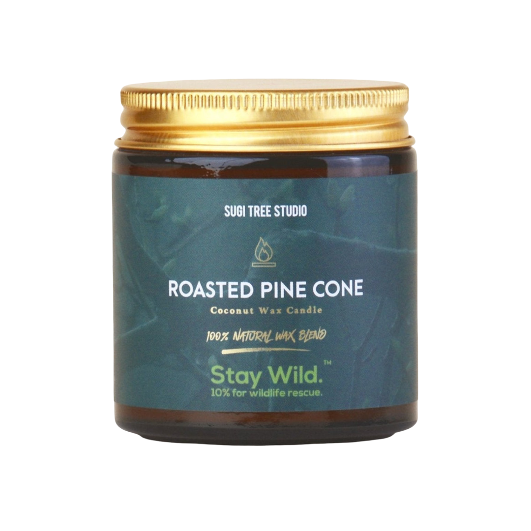 Roasted Pine Cone Coconut Wax Candle