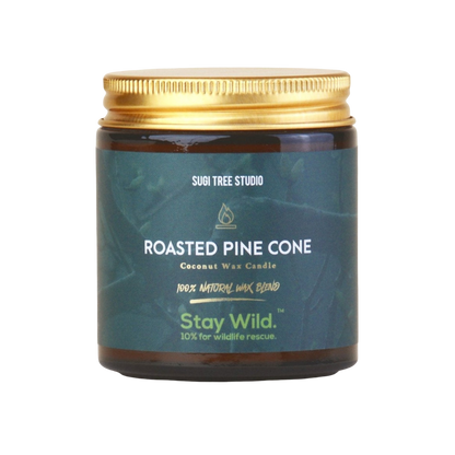 Roasted Pine Cone Coconut Wax Candle