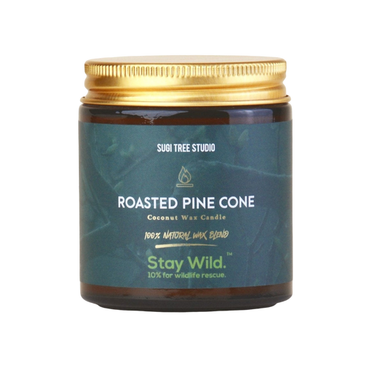 Roasted Pine Cone Coconut Wax Candle