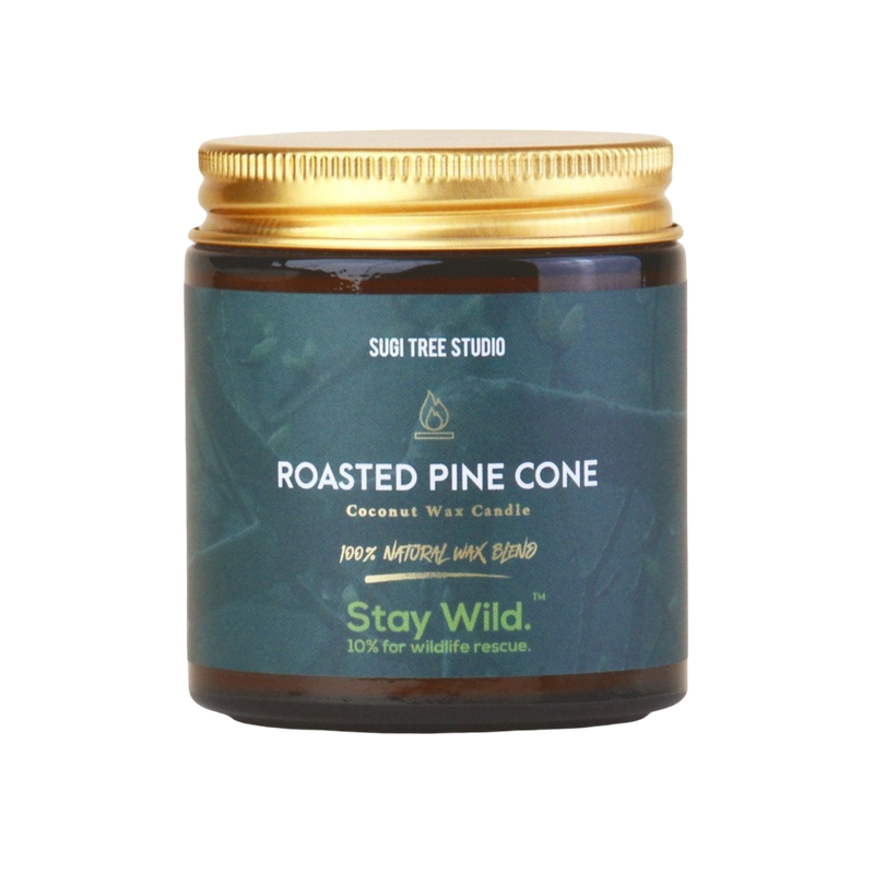 Roasted Pine Cone Coconut Wax Candle