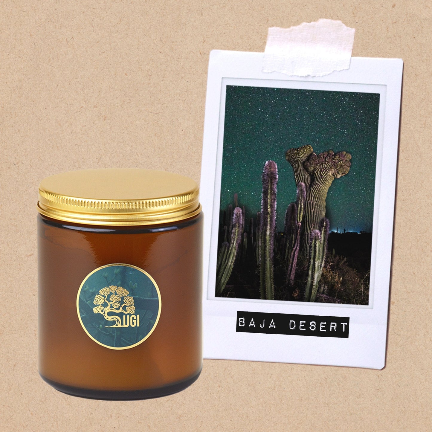 Baja Desert - Wanderlust Collection