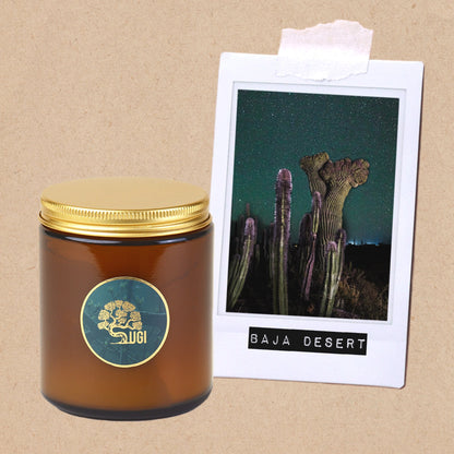 Baja Desert - Wanderlust Collection