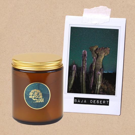 Baja Desert - Wanderlust Collection