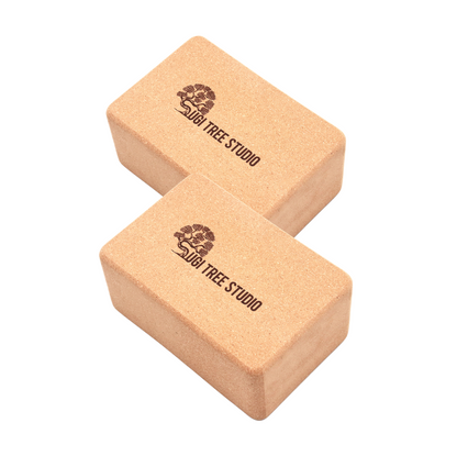 Cork Yoga Block Pair