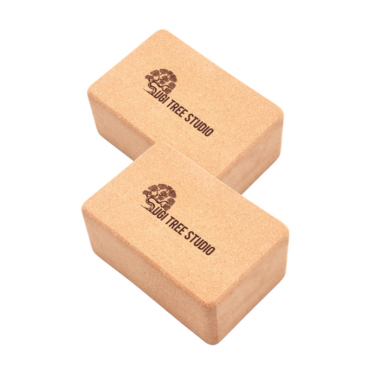 Cork Yoga Block Pair