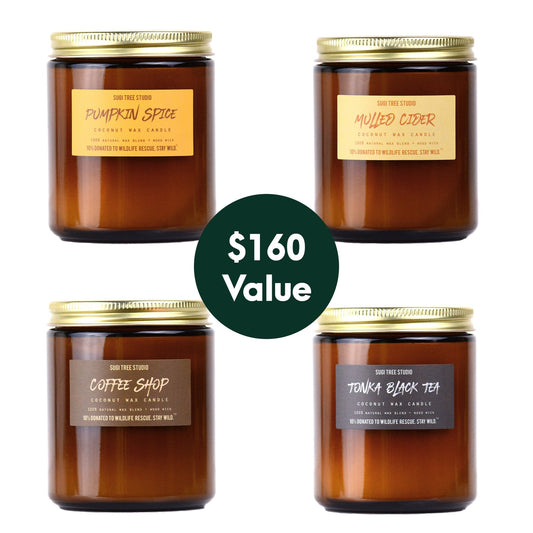 Fall Woodwick Candle Bundle - Candle Set of 4