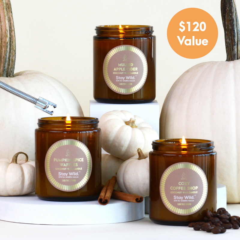 Fall Candle Trio - Set of 3 Coconut Wax Candles