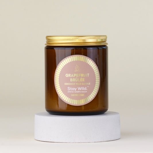 Grapefruit Brûlée Coconut Wax Candle