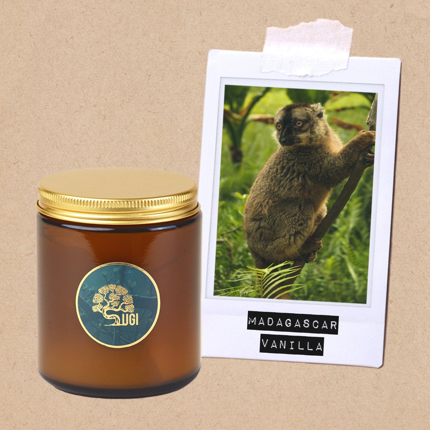Madagascar Vanilla - Wanderlust Collection