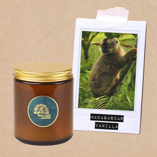 Madagascar Vanilla - Wanderlust Collection