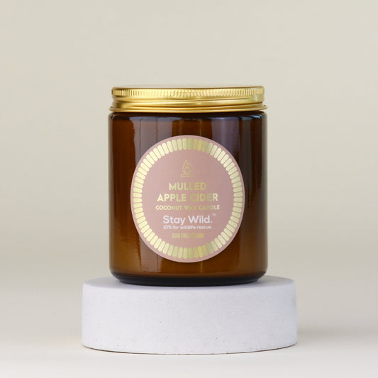 Mulled Apple Cider Coconut Wax Candle