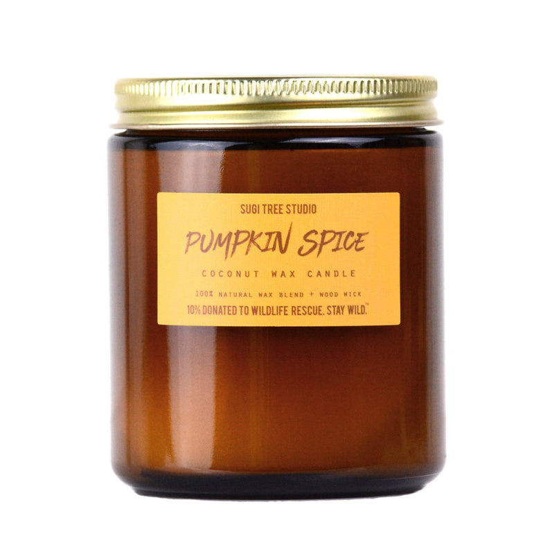 No. 11: Pumpkin Spice Wood Wick Candle