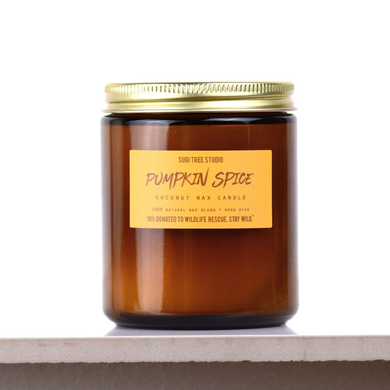 No. 11: Pumpkin Spice Wood Wick Candle