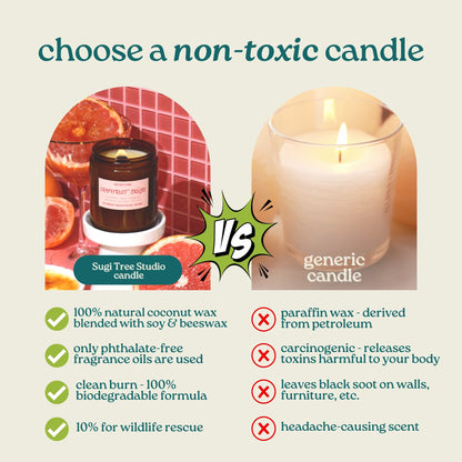 No. 14: Roasted Pine Wood Wick Candle