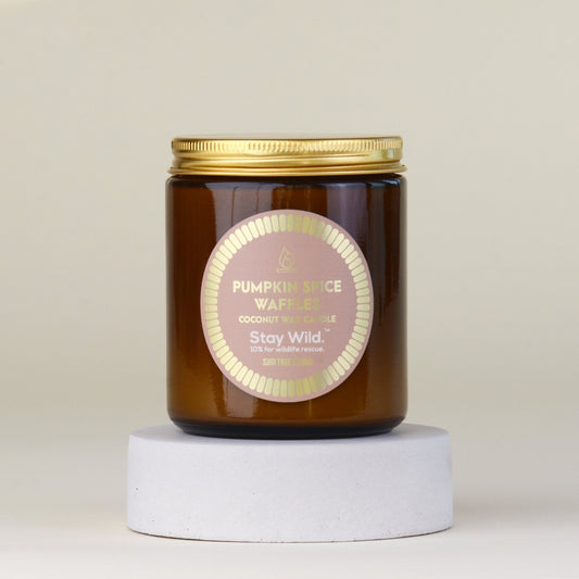 Pumpkin Spice Waffles Coconut Wax Candle