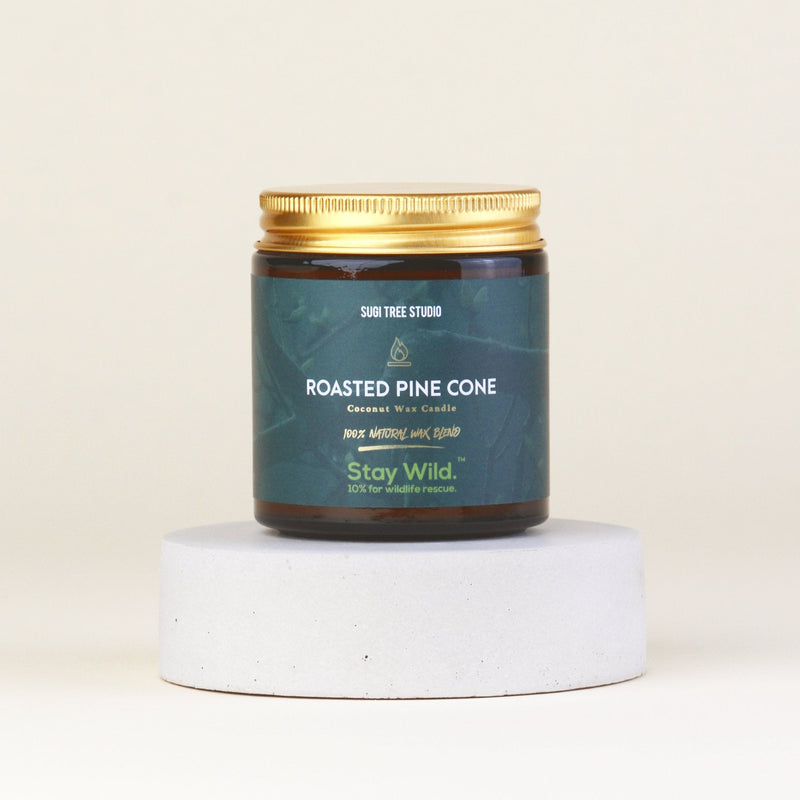 Roasted Pine Cone Coconut Wax Candle