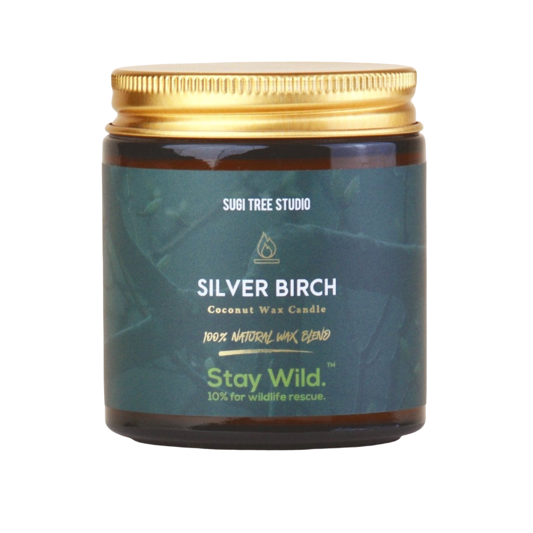 Silver Birch Coconut Wax Candle