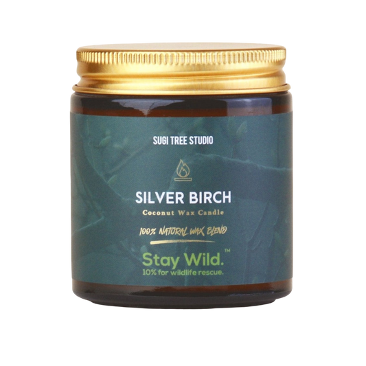 Silver Birch Coconut Wax Candle