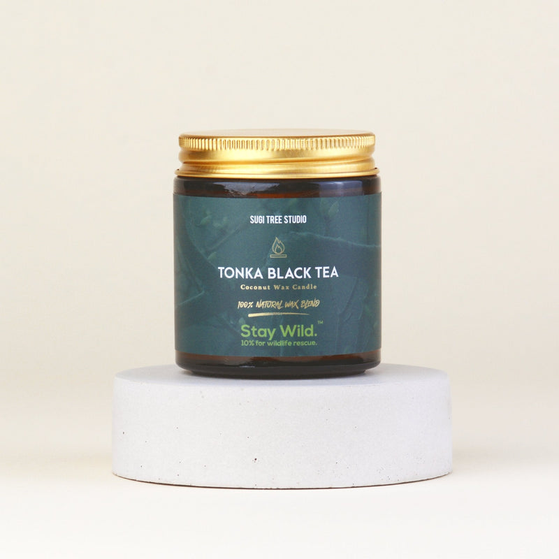 Tonka Black Tea Coconut Wax Candle