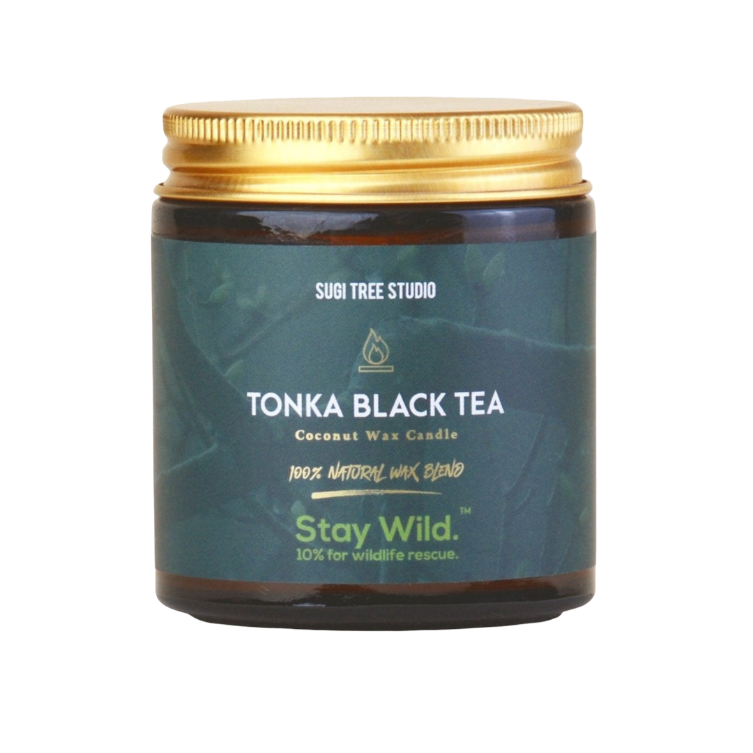 Tonka Black Tea Coconut Wax Candle