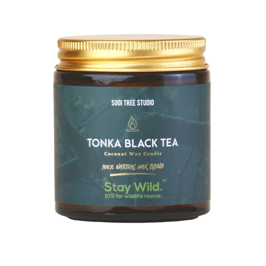 Tonka Black Tea Coconut Wax Candle