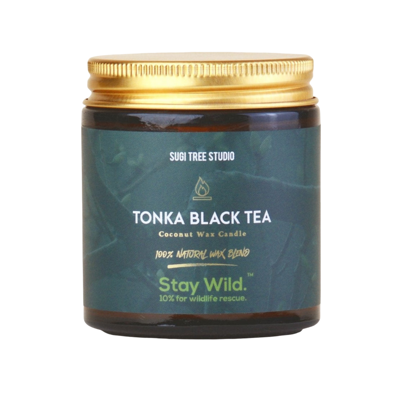 Tonka Black Tea Coconut Wax Candle
