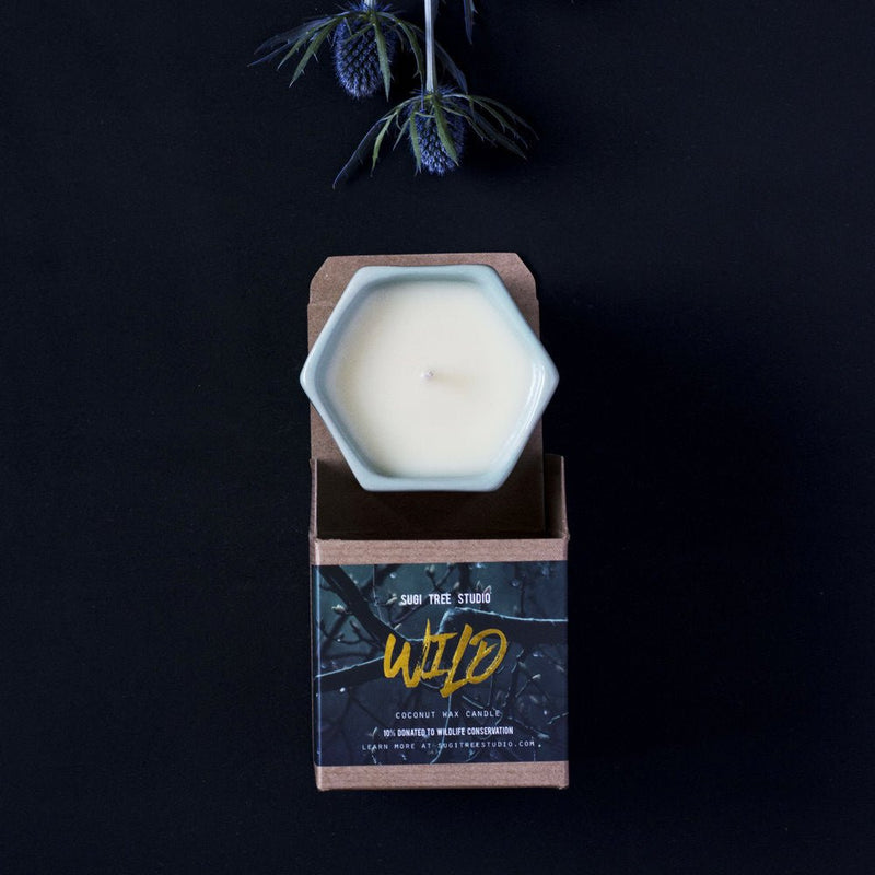 Wild Ceramic Pot Candle @ Sugi Tree Studio