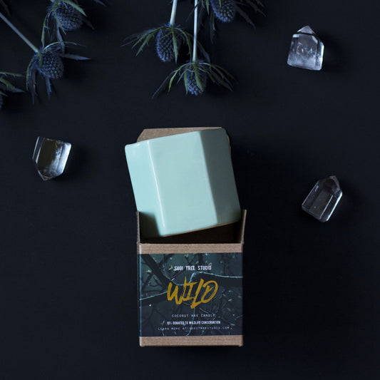 Wild Ceramic Pot Candle