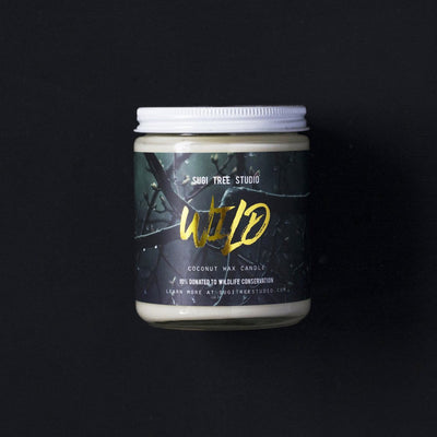 Wild Coconut Wax Candle - 8oz @ Sugi Tree Studio