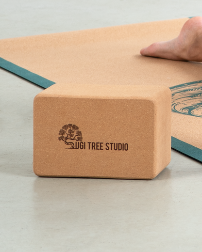 Cork Yoga Block Pair
